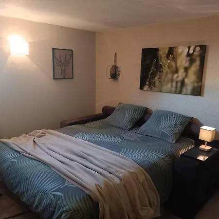 Neuf Et Cosy Apartment *
